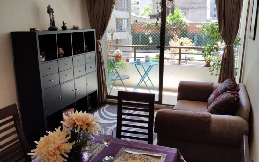 EXCELENTE DEPARTAMENTO DE 2 DORMITORIOS Y 2 BAÑOS CON ESTACIONAMIENTO Y BODEGA