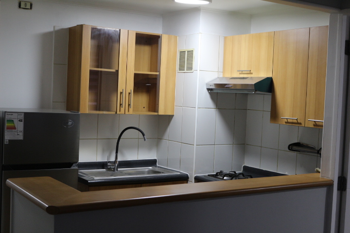 SE ARRIENDA EXCELENTE DEPARTAMENTO 1 DORMITORIO 1 BAÑO EN SANTIAGO CENTRO